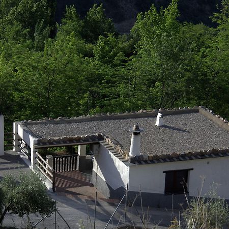 Turismo Rural & Spa El Cercado Berchules Luaran gambar