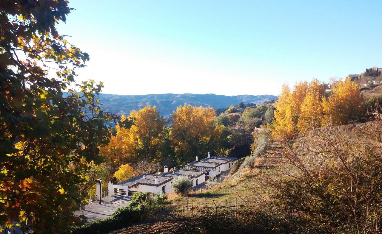 Turismo Rural & Spa El Cercado Berchules Luaran gambar