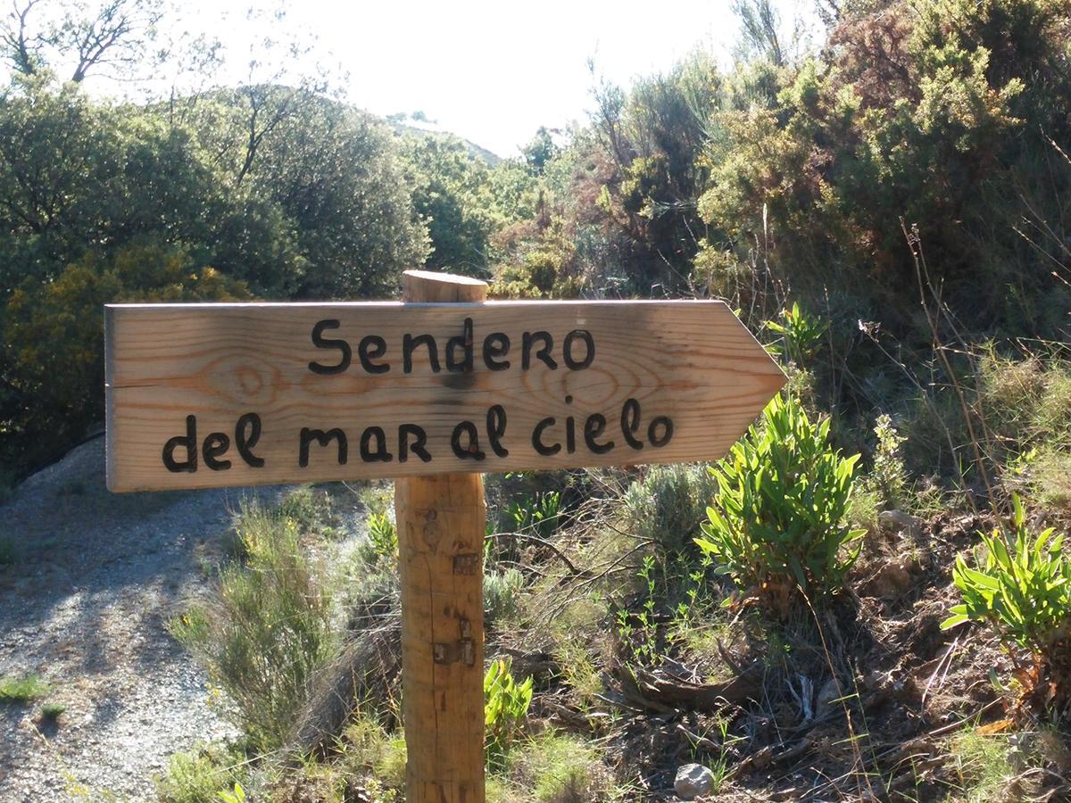 Turismo Rural & Spa El Cercado Berchules Luaran gambar